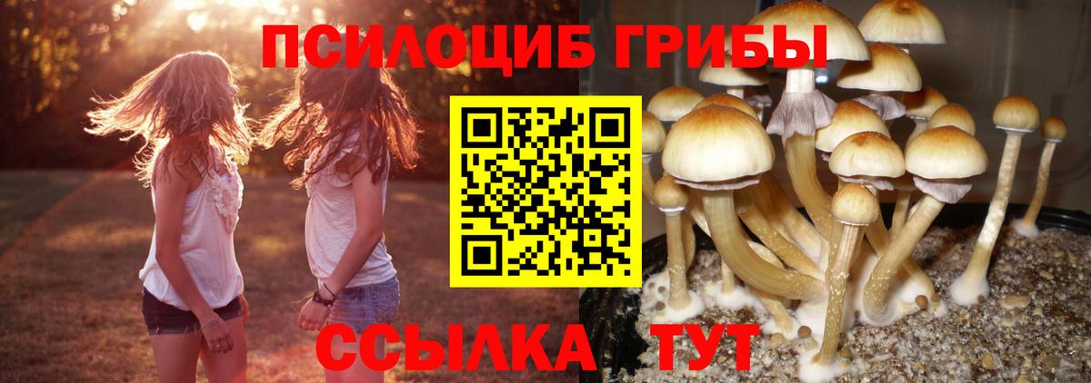 Псилоцибиновые грибы мухоморы  Вход с VPN  Нерюнгри 
